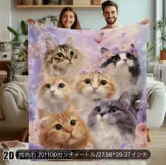 毛布猫