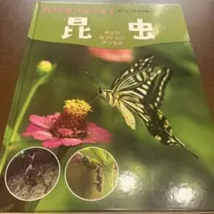 教科書に出てくる生きもの観察図鑑 昆虫