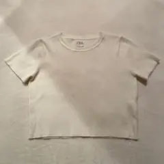 ZARA クロップド ニットTシャツのサムネイル