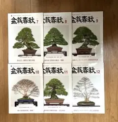 Item thumbnail for item 268dee5d-a9ad-49e4-a604-aa0330860374