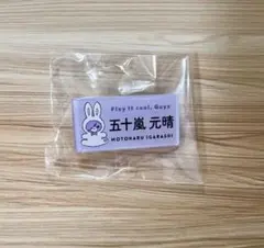 Item thumbnail for item 491339e4-016f-41eb-92b4-34a67fad7a78