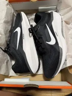 【早い者勝ち】NIKE ウィンフロー11 ブラック26.5のサムネイル