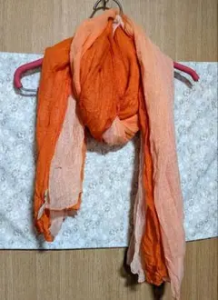 Item thumbnail for item 00e6abf2-d499-4193-95ae-465495fe1dcf