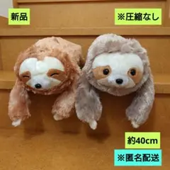 新品　くったりナマケモノ　とろりんちょ　グレー　ブラウン　2体