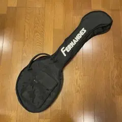 FERNANDES ZO3 케이스 기타