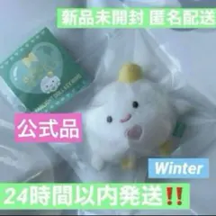 aespa 韓国 ソウルコン MD ペンライト　キーリング ウィンター ドール