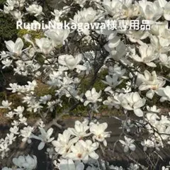 Rumi Nakagawa様専用品