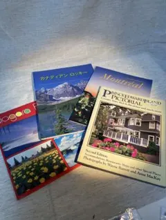 Item thumbnail for item 379218bc-a18b-47b8-a595-1b390c6cdb36