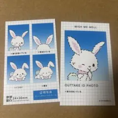 サンリオ 証明写真風スマロイド NG ウィッシュミーメル