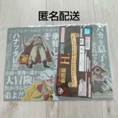 【匿名配送】ワンピース 一番くじ 新四皇 H賞 クリアファイル 白ひげ
