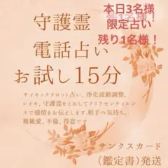本日残1名様‼️初めての方向け／初めての電話占い／守護霊タロット占い／鑑定書発送