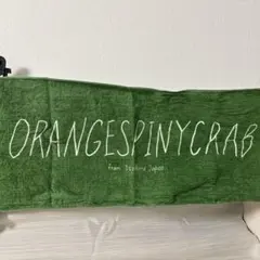 The ドーテーズ 衝撃 CD 廃盤】Theドーテーズ アルバムCD「衝撃」 オレンジスパイニクラブ