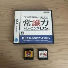 ds カセット　ソフト　3つ　まとめ売り