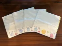 Item thumbnail for item 32a1dd29-be34-45aa-af98-67112393ddf3