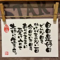 《5844》日日是好日 （にちにちこれこうじつ）¥550筆文字アート
