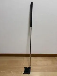 Item thumbnail for item 2c827a0c-dfdc-40a5-978b-ffdcc43988b1