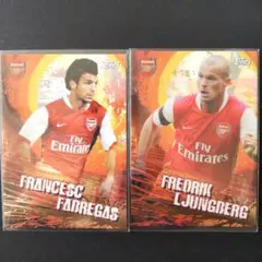 サッカー・スウェーデン代表 ユングベリ（LJUNGBERG） 9番　直筆サイン入 アーセナル サインカードコレクションにフレディ・リュングベリ