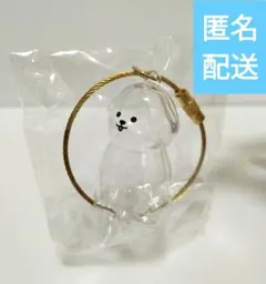 わんこのタイムカプセル モカ