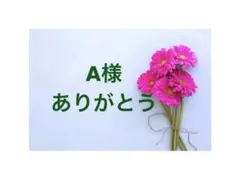 A様専用ページ/0