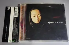 Yae 風のみち PCCA-04902