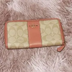 Item thumbnail for item 47b73cd1-495d-4b76-ade4-b4148605aa8e