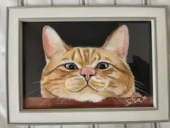 猫 手描きアクリル画 原画一点物（フレーム付き）