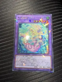 遊戯王　影霊翼騎ウェンディクルフ　シクパラ　ターミナルワールド３