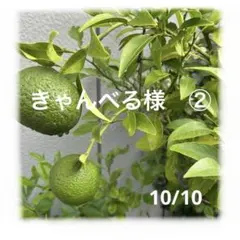 きゃんべる様　10月②