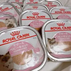  CANIN マザー&ベビーキャット　100g×48個 ロイヤルカナン FHN-WET マザー＆ベビーキャット 100g（9334214029986