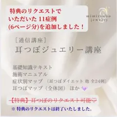 【価格改定】耳つぼジュエリー 通信講座 テキスト・マップ35症例・他
