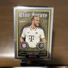 Item thumbnail for item 2710560d-3f3b-43b6-a887-2127b81aae7e