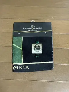 ディズニー　ツイステッドワンダーランド　タオルハンカチ