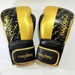 MaxxMMA ボクシンググローブ 10oz 男女兼用 トレーニング用