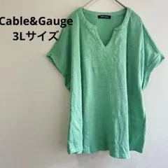 ケーブルアンドゲージ 刺繍 チュニック スリットネック 半袖 ゆったり 3Lのサムネイル
