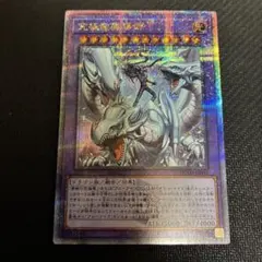 究極竜魔導師 クオシク - メルカリ