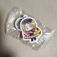 ハイキュー　くら寿司　めじるしチャーム　孤爪研磨　KOZUME