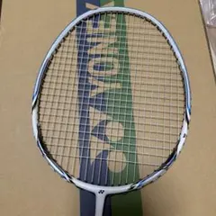 ヨネックス ナノレイ250 4UG5 17-22lbs NANORAY YONE - メルカリ