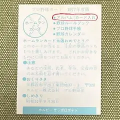 ⚠️ホームランカード 長嶋茂雄 柴田勲 読売ジャイアンツカルビープロ野球カード