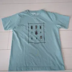 Item thumbnail for item d883ee0b-8b85-4213-91fa-e7e1409463cf