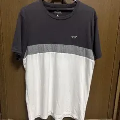 Hollister Tシャツ Lサイズのサムネイル