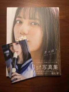 小坂菜緒 写真集