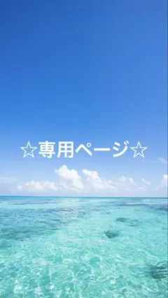 ☆専用ページ☆