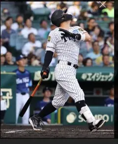 1998 福岡ダイエーホークス　星野順治　実使用ユニフォーム　ミズノプロ 1998 福岡ダイエーホークス 星野順治 実使用ユニフォーム ミズノプロ