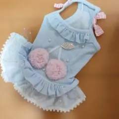 リュクスバーディ Luxebirdie ブランチュチュ (ミント) SSサイズ