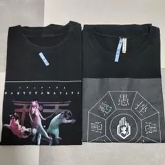 真天地開闢集団 ジグザグ Tシャツ グッズ 516lWD8-FcL._SY350_QL65_.jpg