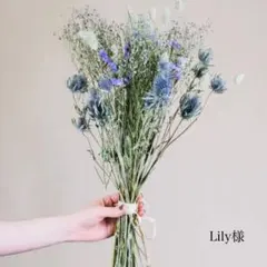 Lily様