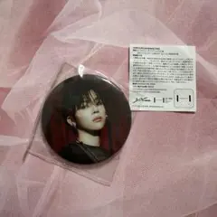 &TEAM カプセルトイ 缶バッジ NICHOLAS