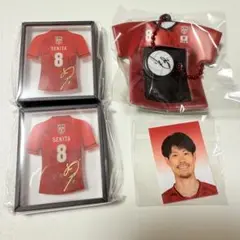 バレーボール男子日本代表 関田誠大 ガチャ マグネット ホルダー
