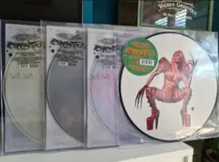 ★ Lady Gaga ピクチャー盤 レコード LP ☆ Lady Gaga ピクチャー盤 レコード LP Picture Disc Vinyl