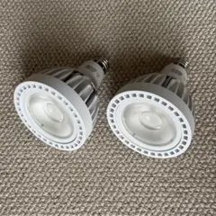 ショウイチ様専用3個】植物育成ライト LED 30W 5900K Ra97 - メルカリ